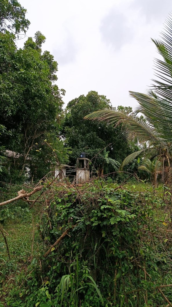 Bogamuwa ,yakkala