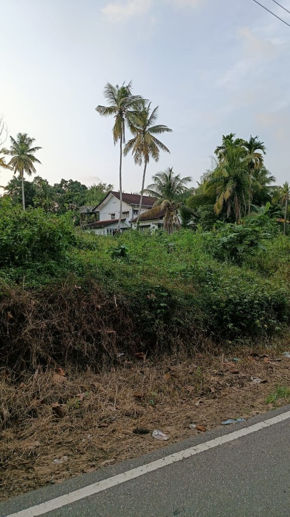 DIYAGAMA