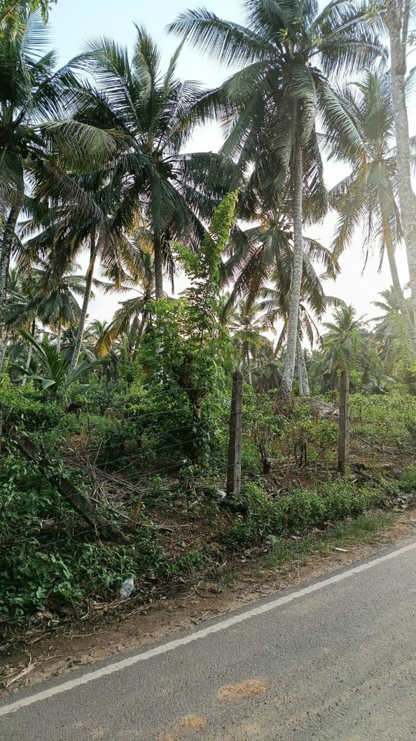 KIRIWATHTHUDUWA